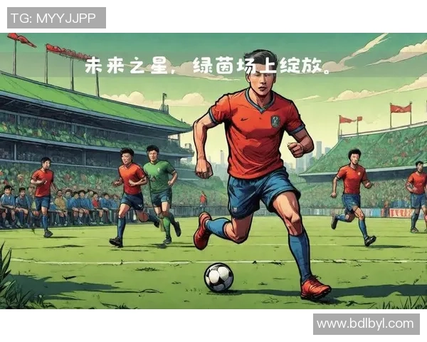 足球海燕：在绿茵场上追逐梦想的青春故事与奋斗精神